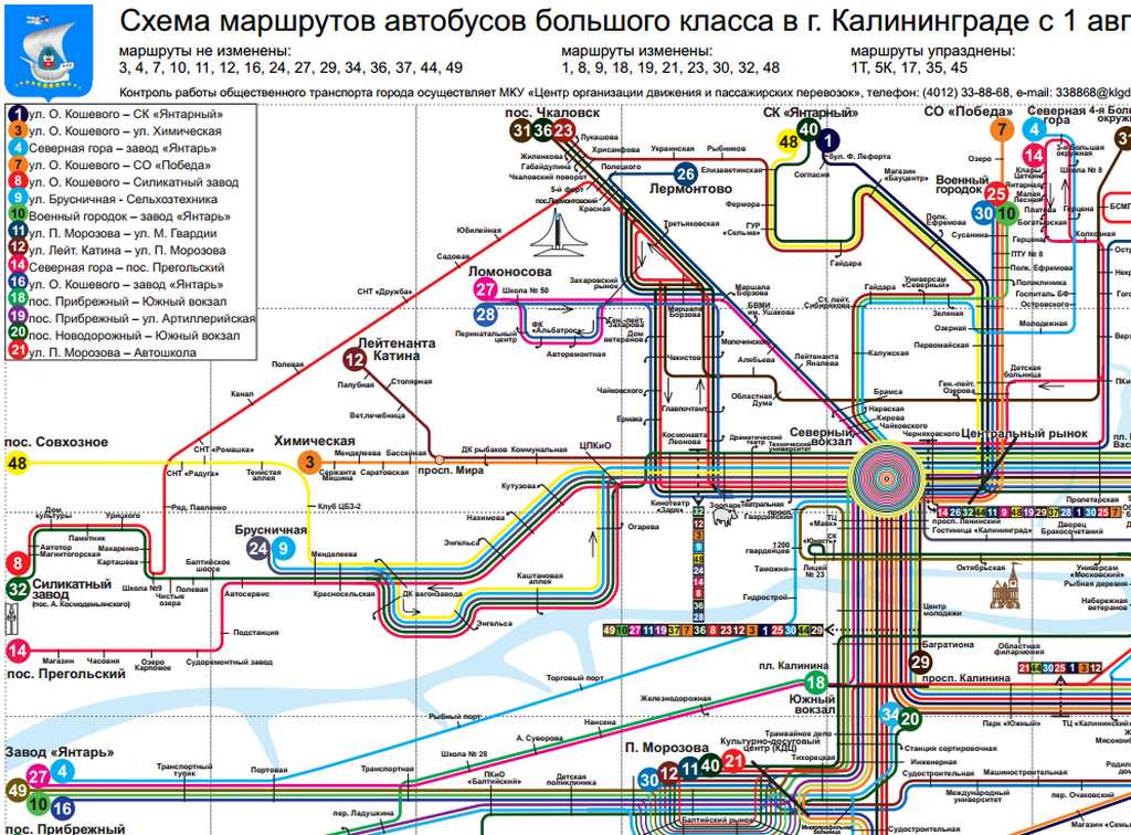 Карта транспорта калининграда онлайн в реальном