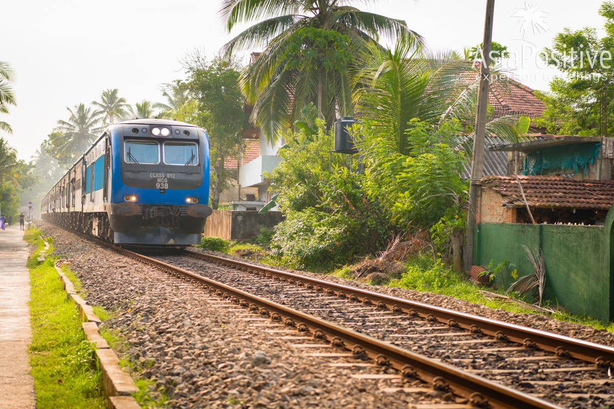 Поездка на поезде гораздо интереснее и увлекательнее трансфера на машине (Шри-Ланка) 