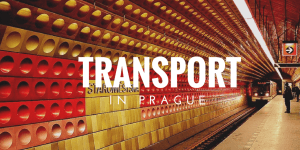 PUBLIC TRANSPORT (2)