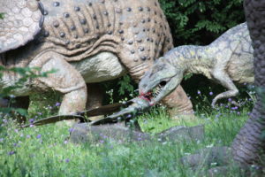 развлечения для детей север италии озеро гарда зоопарк сафари парк
