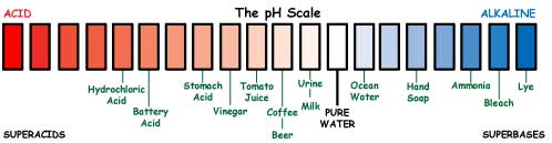 Drawing of the pH scale, with the most acidic reading of -5 on the left and the most alkaline reading of 14 on right. Example substances are shown, with their pH levels: Pure water has pH of 7, tomato juice is 4, battery acid is 0. Ocean water is 8.