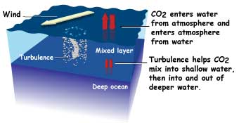 Cross section drawing of ocean, with wind making turbulence and mixing carbon dioxide into the water.