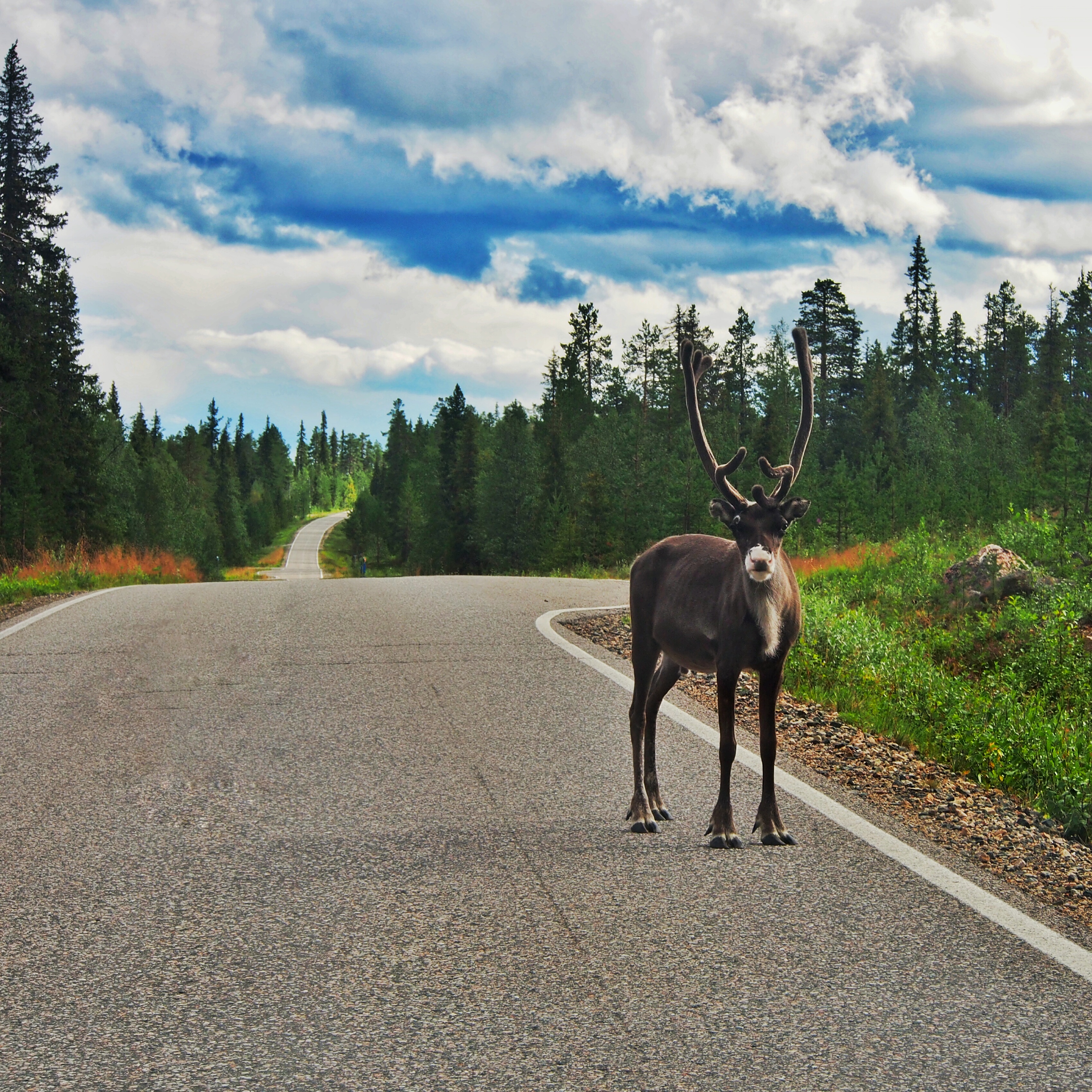 How to plan a successful road trip in Finland - Gofinland blog