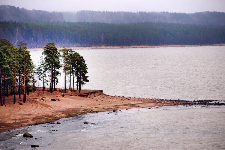 Финский залив. Фото: flickr.com