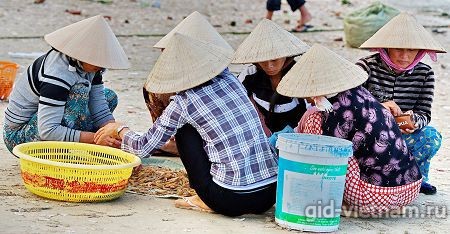жёны вьетнамских рыбаков сортируют улов