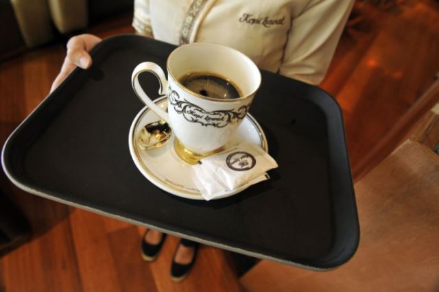kopi luwak - самый дорогой кофе в мире производится в Индонезии