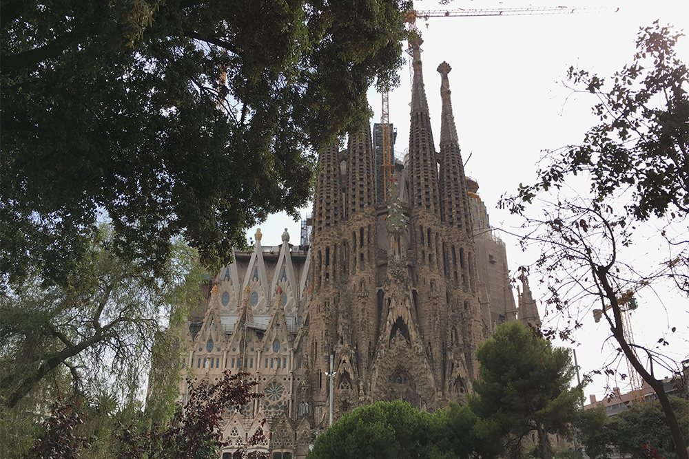 Если приезжать в Барселону каждый год, можно наблюдать, как на глазах формируется история и растет самый долгостроящийся собор