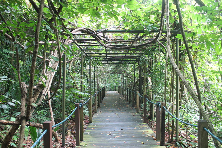 The Singapore Botanic Gardens - a must do if you are spending 2 days in Singapore