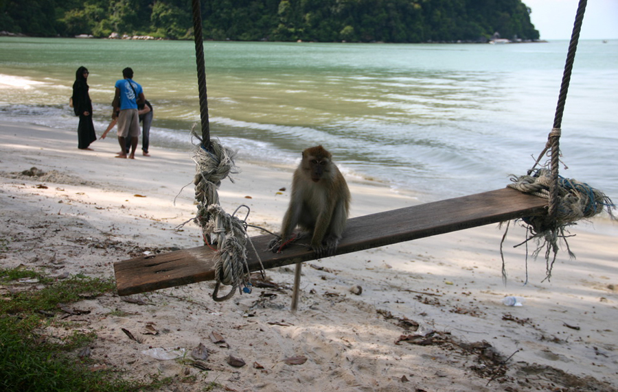 Пляж Monkey Beach