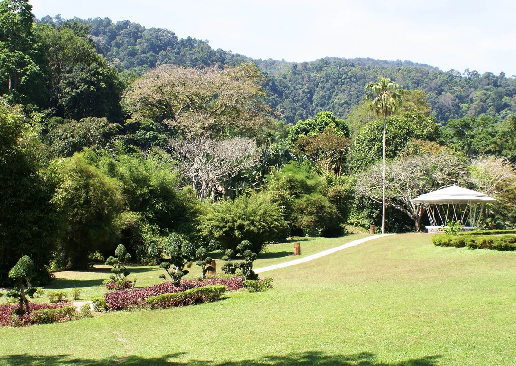 Ботанический сад (Penang Botanical Gardens)