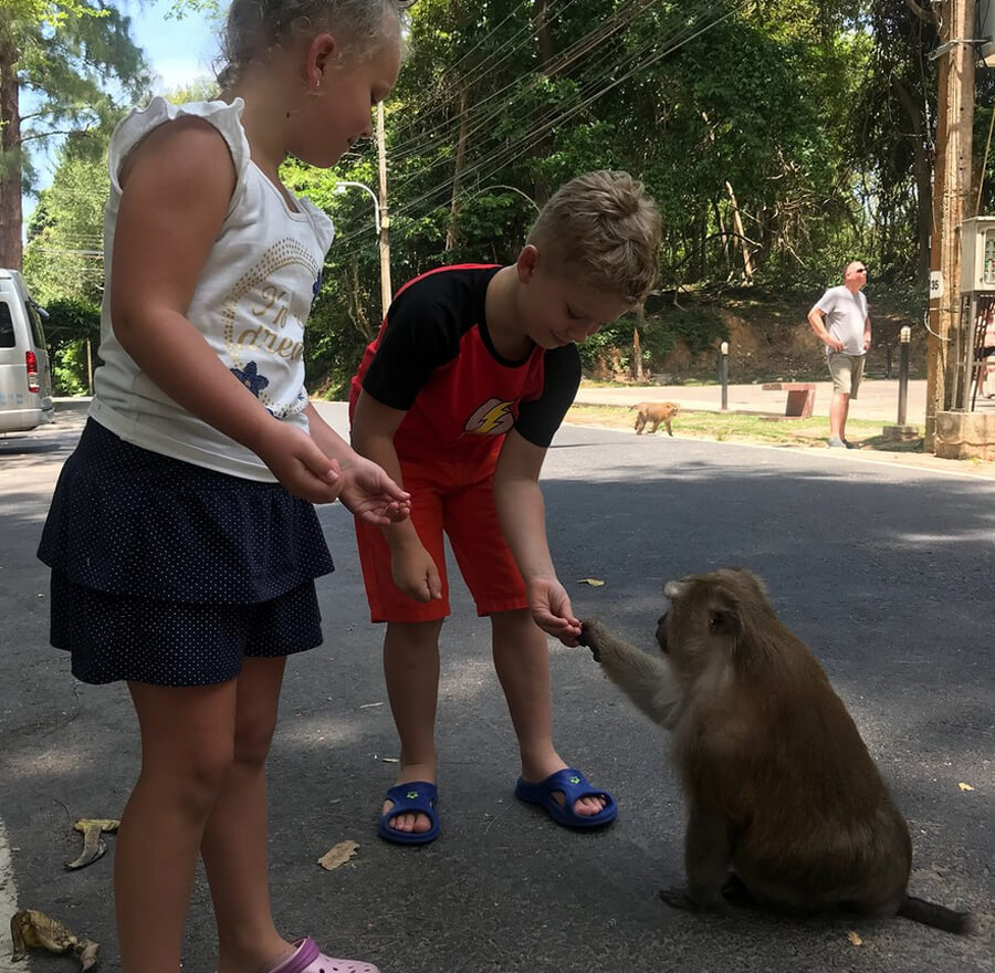 Дети кормят обезьяну