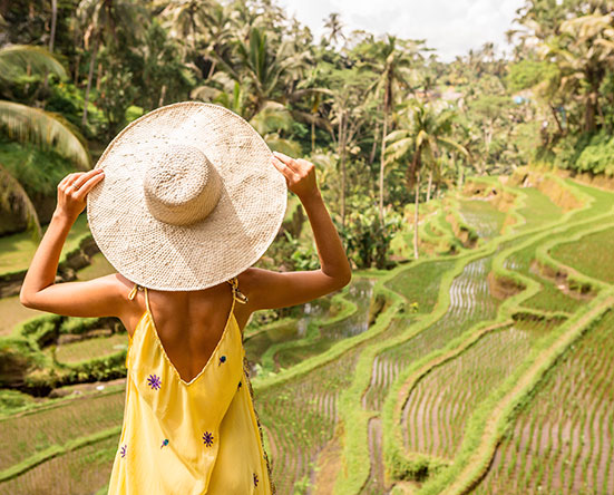 Рисовые террасы на Бали в ноябре