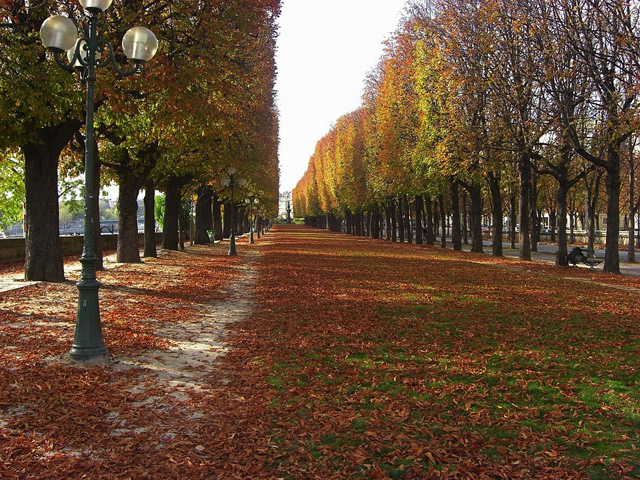 поездка в Париж осенью самостоятельно