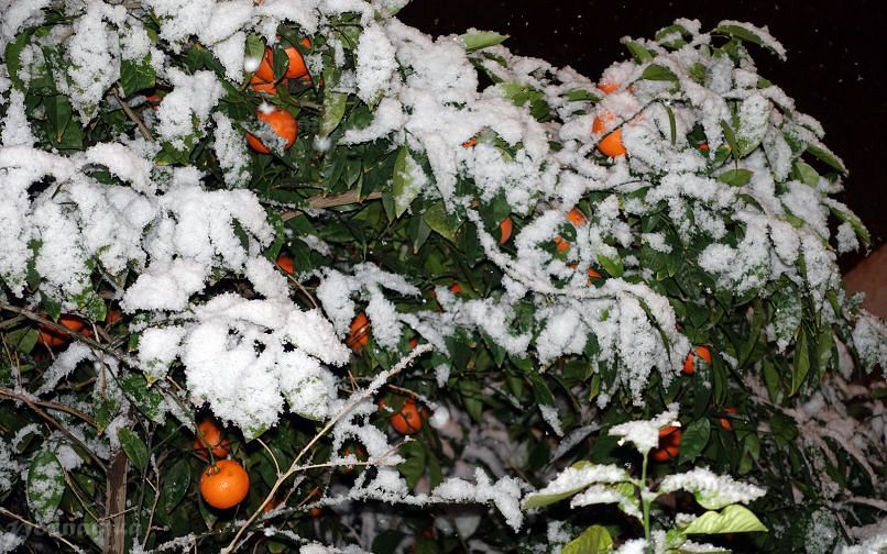 Снегопад в Афинах - редкое явление