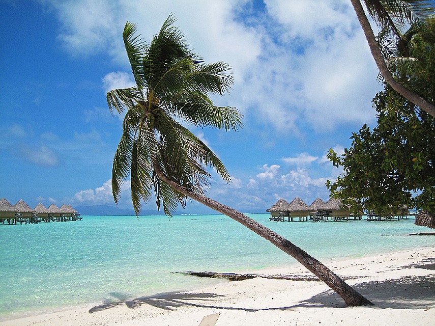 Бора-Бора, Французская Полинезия... Сказка, которую хочется сделать былью! Фото: TripAdvisor. 