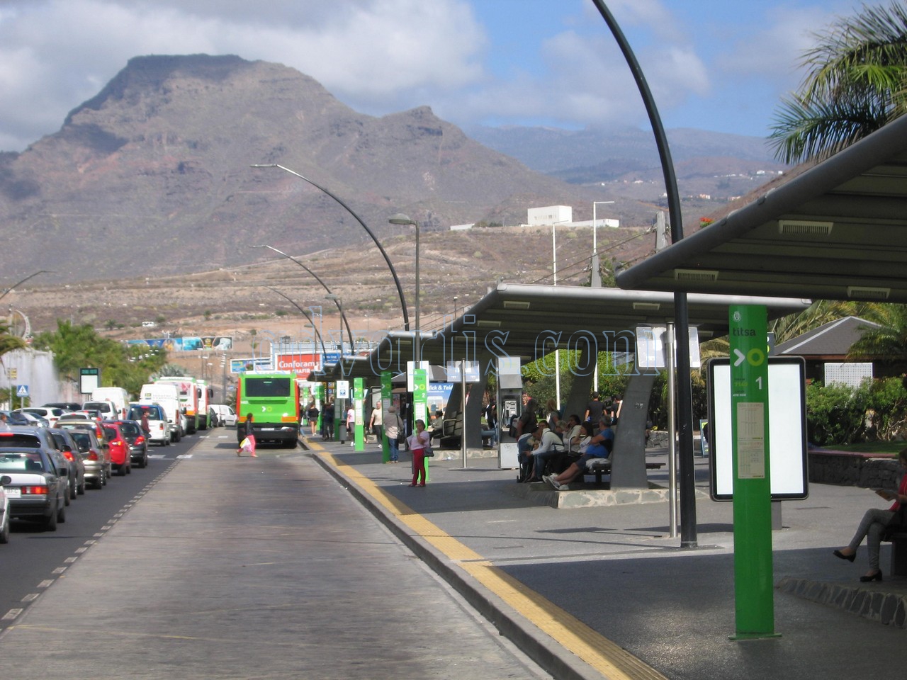 Tenerife bus in Los Cristianos bus station