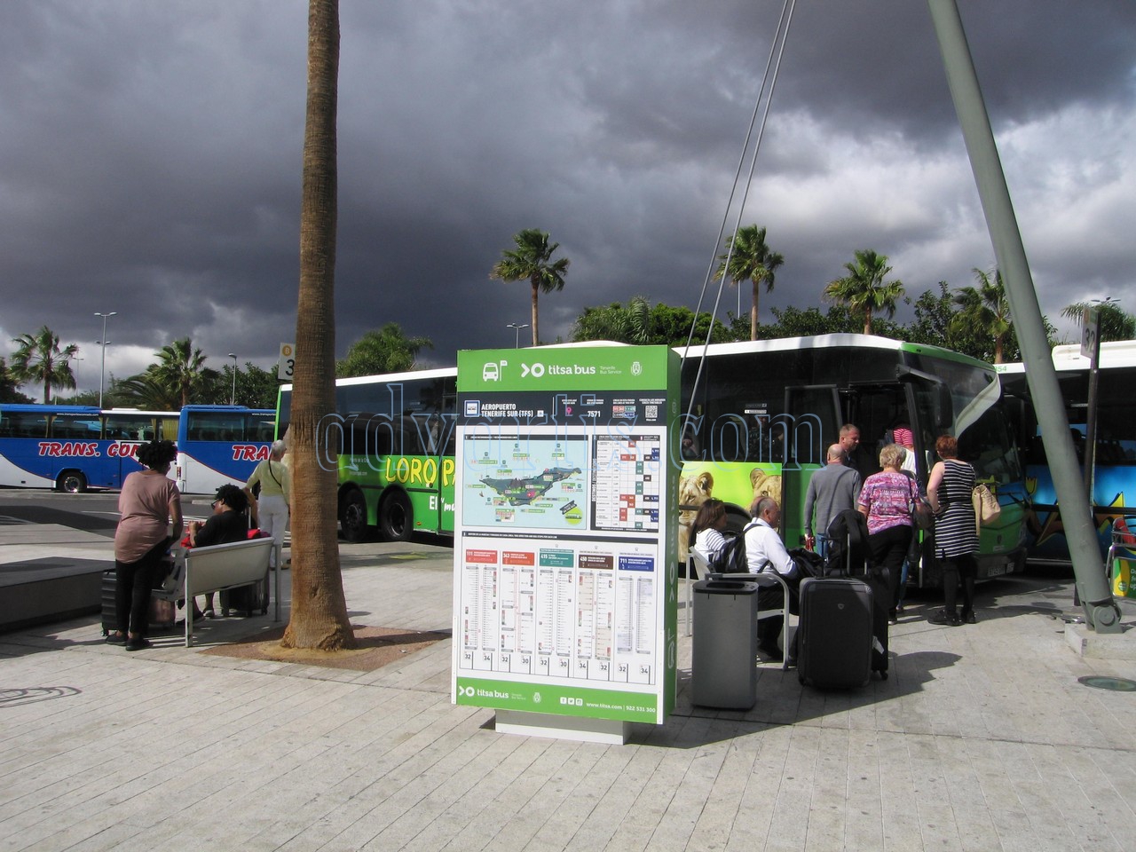 Tenerife bus in Tenerife South airport