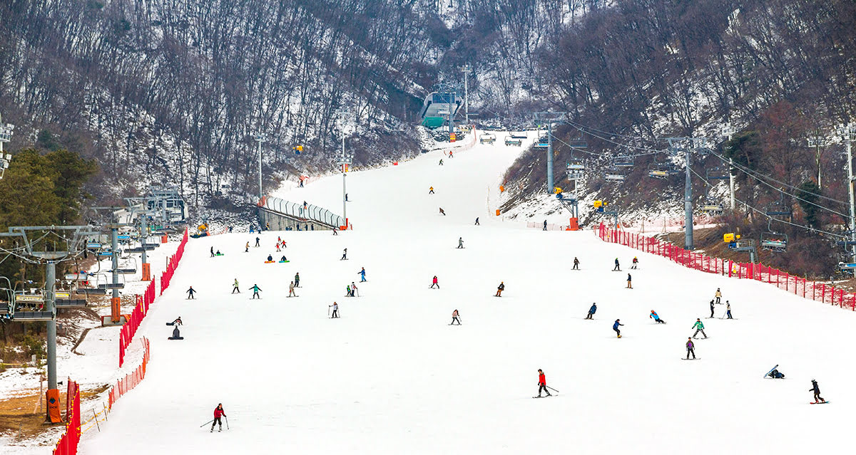 Best time to visit Seoul-Jisan Forest Ski Resort