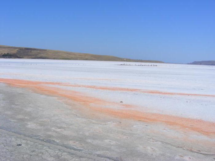 грязь озера чокрак крым