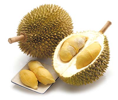 thai durian